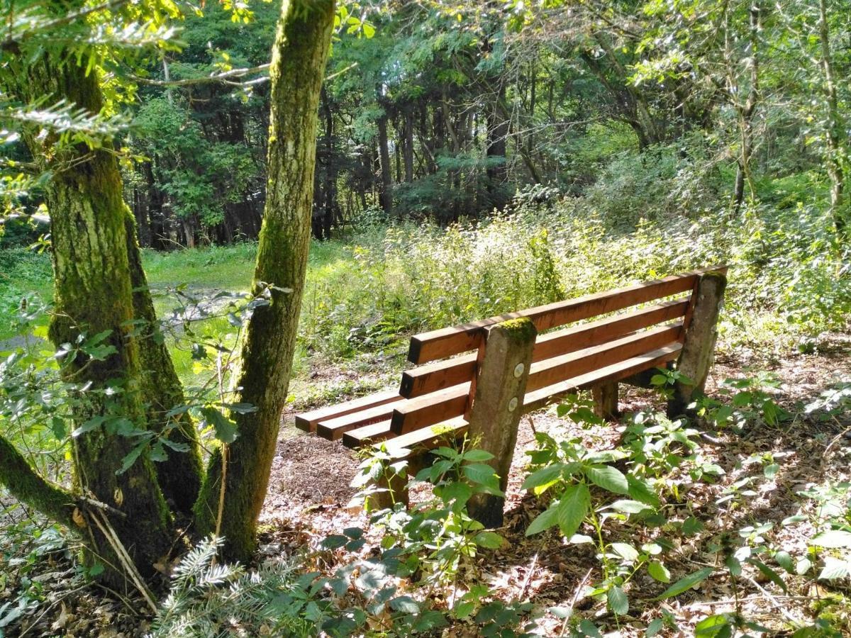 Fewo Well Gladenbach Екстериор снимка
