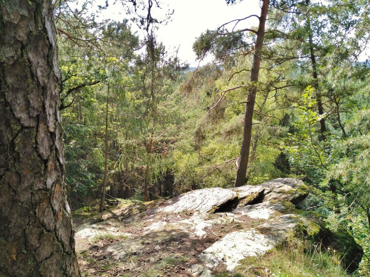 Fewo Well Gladenbach Екстериор снимка
