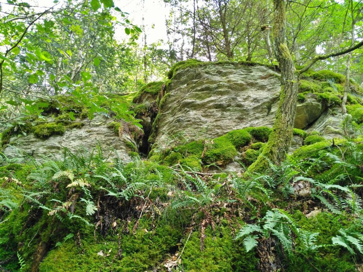 Fewo Well Gladenbach Екстериор снимка