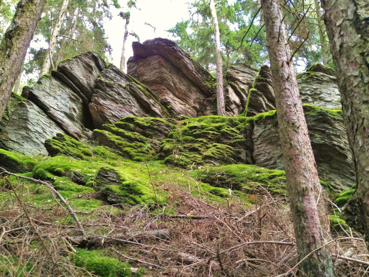 Fewo Well Gladenbach Екстериор снимка